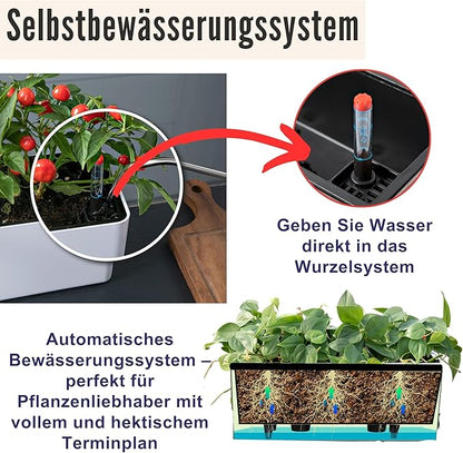 LaLaGreen Planter Box for Indoor Plants (16 Inch, 2 Pack) Black Rectangular Self Watering Flower Pot, Large Window Boxes Planters with Drainage Decorative Modern Balcony Windowsill Herbs Home Garden