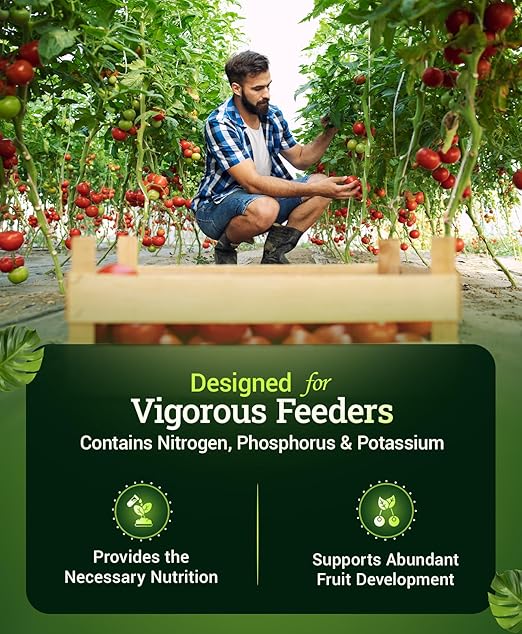 Fox Farm Happy Frog Tomato and Vegetable Fertilizer - Dry Tomato Fertilizer for Strong Growth, Plant Resistance, and Root Efficiency, NPK 5-7-3 (4 lb (2 Pack))