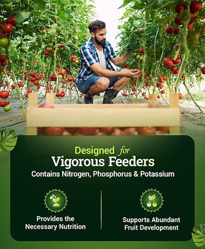 FoxFarm Happy Frog Vegetable & Tomato Fertilizer - Organic Vegetable Fertilizer for Vigorous Feeders, 5-7-3 Blend with Calcium & Mycorrhizal Fungi, Supports Abundant Fruit & Disease Resistance, 4 lb