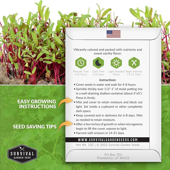 Beet Microgreen Seeds for Sprouting - Non-GMO Heirloom Beet Seeds to Grow Red Microgreens - Indoors or Hydroponic - Fast Growth, Sweet Flavor - Survival Garden Seeds (2 Packs)
