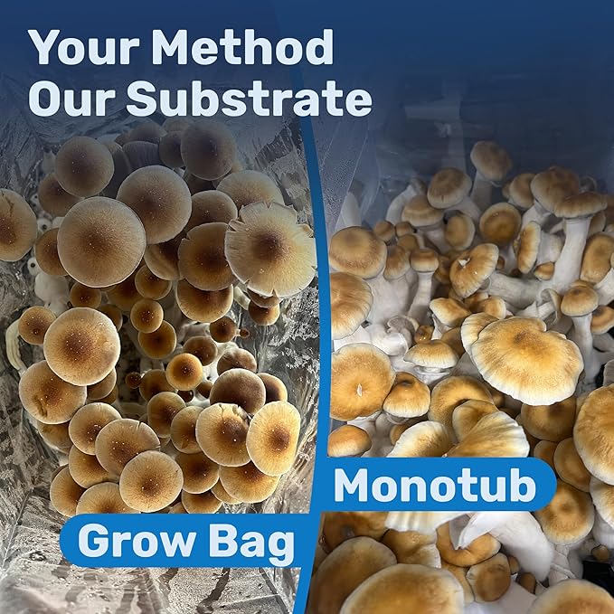 Surfin' Spores Premium Mushroom Substrate - 5 lbs Bulk CVG Blend for Monotub Cultivation - Pasteurized Coco Coir, Vermiculite & Gypsum Mix - Professional Mycologist Formula for Growing Mushrooms