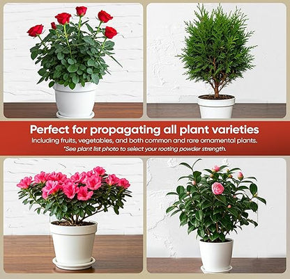 Hormex Rooting Powder #3 (0.30% IBA) for Common Houseplants, Flowers & Garden Varieties - Starter Strength Root Powder, Root Stimulator for Plants, Rooting Hormone for Cuttings, Cloning & Propagation