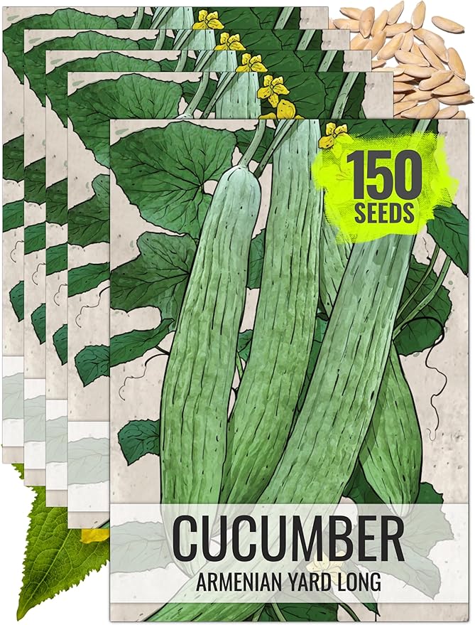 Seed Needs Cucumber Seeds for Planting Armenian Yard Long Cucumbers - Heirloom Non-GMO & Untreated - Snake Melon/Serpent Cucumber to Plant a Home Grown Outdoor Vegetable Garden (5 Packs)