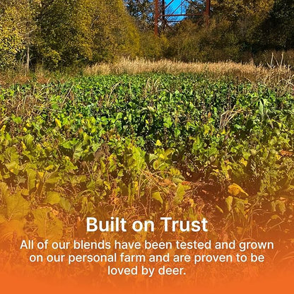 No Till Annual Mix - Throw and Grow Clover, Rye, Turnip, Brassica, Oats - No Plow Food Plot Seed for Deer - 10 lbs