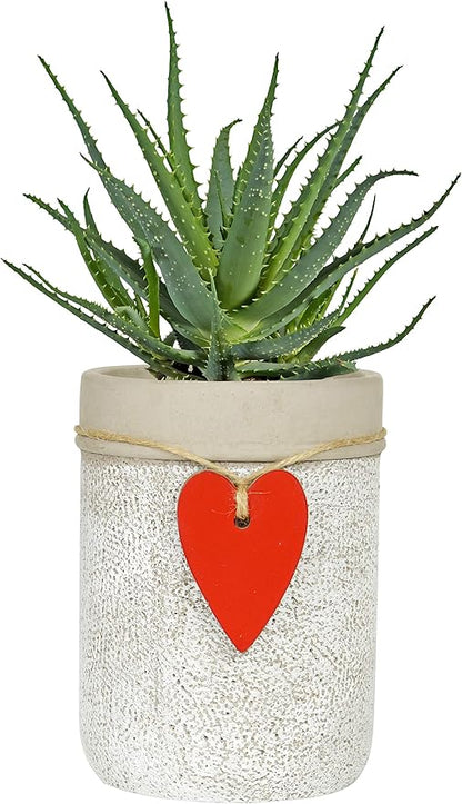 Classic Home and Garden 210027P-396 Heart Vase Planter, Whitewash