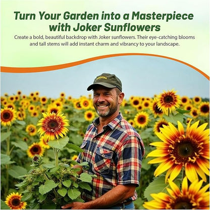 Outsidepride Joker Sunflower Seeds for Planting - 100 Pcs Annual, Easy to Grow Flower Seeds w/Vibrant, Abundant Blooms for Cut Flower Arrangements & Pollinator & Vegetable Gardens