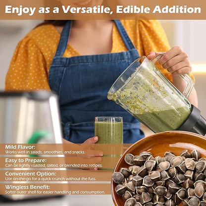 Moringa Seeds Wingless 1 oz. - PKM1 Variety - Edible Snacking - Planting - Moringa Oleifera - Malunggay - Semillas De Moringa - Drumstick Tree - Non-GMO - 100 to 125 Seeds