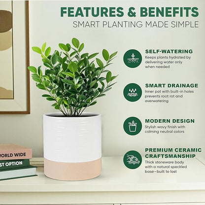 Ceramic Self Watering Plant Pots – 6 Inch White Planter with Drainage Hole & Water Storage for Succulents & Modern Indoor House Plants (White & Beige, 6" Wide)