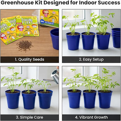 TickleMe Plant Deluxe Family Greenhouse Kit – Grow The Playful Plant That Closes Its Leaves When Tickled! Includes Mini Greenhouse, 3 Seed Packets, Soil Pellets & Pots – Fun Indoor Gardening Gift