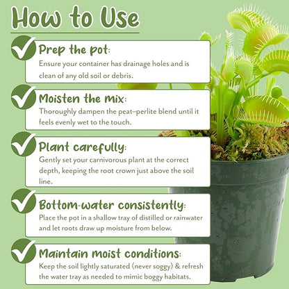 Soil Sunrise Carnivorous Plant Potting Soil Mix (2 Quarts) Ideal Additive for Venus Fly Traps, Sundews, and Pitcher Plants