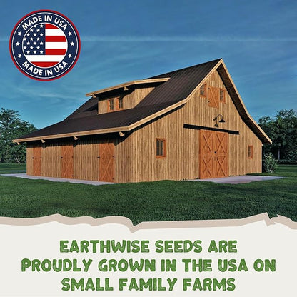 Earthwise EcoSeed Grass Seed – No Mow, Low Maintenance Lawn Seed Mix, Fine Fescue Blend, Drought Tolerant, Shade Tolerant, Organic, Chemical-Free – Covers Up to 200 sq ft, 1 lb