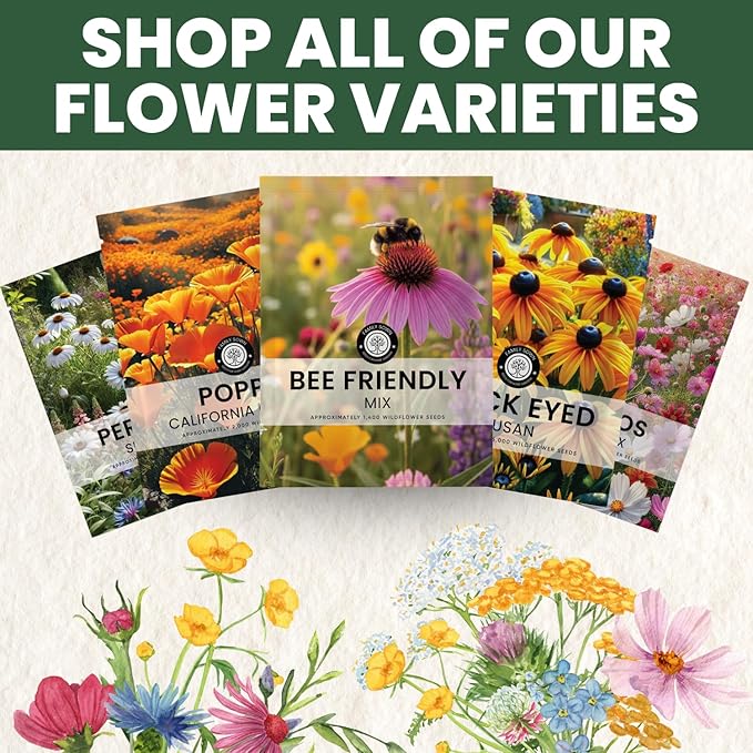 Bee Friendly Mix – 31,000 Seeds for Planting – 2026 Season – 4 Ounce Pouch