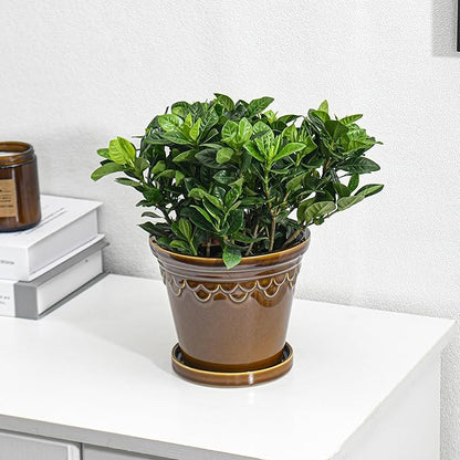 6.3 Inch Ceramic Planter, Plant Pot with Drainage Hole and Saucer, Decorative Glaze Flower Pot for Indoor Plants (Caramel)
