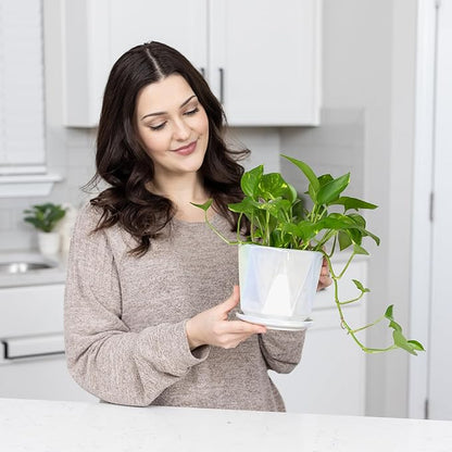 Coco Andrea Ceramic Plant Pots for Indoor Plants with Drainage & Saucers - 5-inch Iridescent White Planters for Houseplants, Succulents & Flowers - Housewarming Gift Set (1-pc, Small)