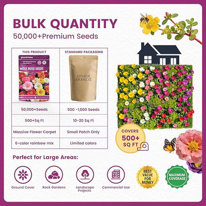 Moss Rose Seeds Bulk Pack - 50,000+ Non-GMO Heirloom Portulaca Seeds for Planting Outdoors, Rainbow Color Mix, Drought-Tolerant Ground Cover & Container Flowers, USDA Zones 2-11