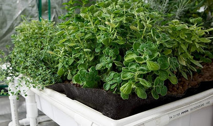 Smart Pot Tray Liner, Raised Bed Flood, 4 ft x 8 ft (48" x 96")