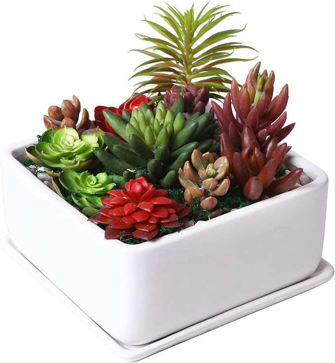MyGift Modern White Ceramic Square Indoor Small Planter, Flower Succulent Plant Pot with Drainage Hole and Removable Drip Tray