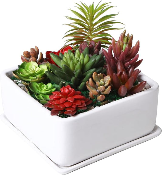 MyGift Modern White Ceramic Square Indoor Small Planter, Flower Succulent Plant Pot with Drainage Hole and Removable Drip Tray