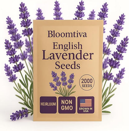 Premium English Lavender Seeds – 2,000 Non-GMO, USA-Grown Herb Seeds for Indoor & Outdoor Planting – High Germination Wildflower (Lavandula angustifolia)