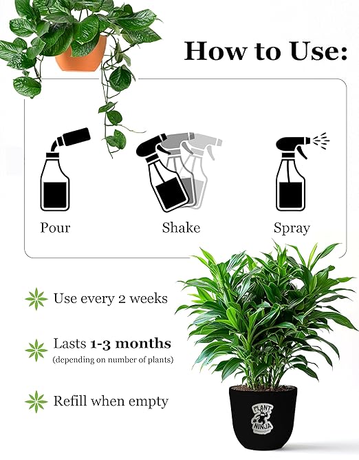 Plant & Leaf Spray – Non-Toxic Leaf Shine & Protector | Eco-Friendly, Safe for Indoor Plants | Handcrafted, Women-Owned, 3rd Generation Recipe | Plant-Based Formula with Gentle Silicone