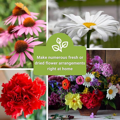 Sow Right Seeds - Large Flower Farm Seed Collection for Planting - Zinnias, Sunflowers, Daisies, Cosmos, Carnations, Stock & More - Attract Pollinators - Non-GMO Heirloom Varieties to Cut Bouquets