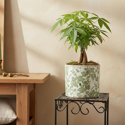 7.7" Large Green Plant Pots, Flower Pots w/Drainage, French Country Farmhouse Pots for Plants, Tree Pot for Olive & Money Tree, Garden & Home Decor, Gifts for Women,Indoor/Outdoor Planter