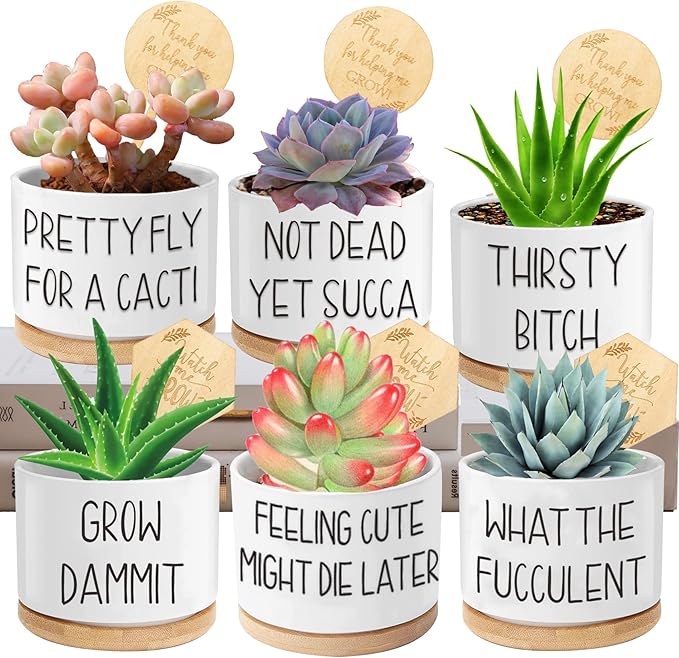 6pcs Funny Succulent Plant Pots, 3.15'' Ceramic Small Succulent Planters with Drainage Hole and Bamboo Tray, Cute Flower Pots for Indoor/Outdoor Plants, Birthday Gifts for Women - Plants Not Included