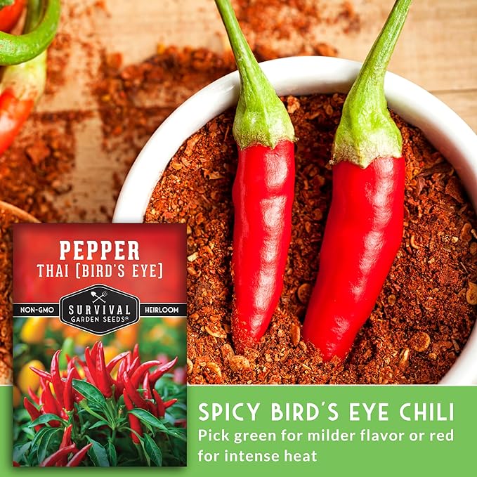 Thai Chili Pepper Seeds for Planting | Bird’s Eye Hot Peppers – Heirloom Non-GMO Hot Chilis for Spicy Cooking & Container Gardens – Survival Garden Seeds (1 Pack)