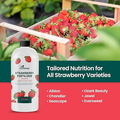 16oz Strawberry Fertilizer - Makes 16 Gallons of Fruit Tree Fertilizer for Strawberries, Liquid Plant Food Outdoor, Ideal Strawberry Plant Food for Lush Growth & Bigger, Sweeter Strawberries
