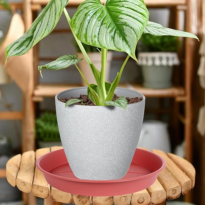 6 Pack of Plant Saucer Tray 4 6 8 10 12 14 17 19 22 25 inch, Heavy Duty Plastic Pot Plant Drip Trays Saucers for Indoors Outdoor, Plant Water Tray for Planters 4-7" (6", Clay)