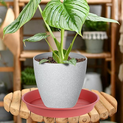 6 Pack of Plant Saucer Tray 4 6 8 10 12 14 17 19 22 25 inch, Heavy Duty Plastic Pot Plant Drip Trays Saucers for Indoors Outdoor, Plant Water Tray for Planters 4-7" (6", Clay)