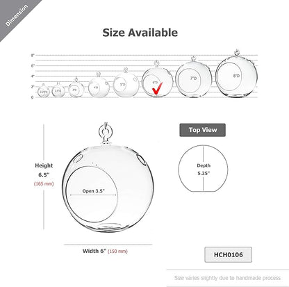 WGV Hanging Terrarium Globe, Width 6", Height 6.5", DIY Air Succulent Planter, Clear Glass Vase Orb with Flat Bottom, Candle Holder for Windowsill Outdoor Garden Decor, 1 Piece