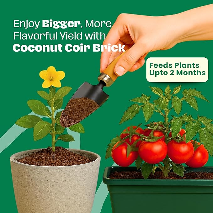 Gro-Med Coco Coir Bricks – 10 Pack (650g Each) | Expands to 100 Quarts | NPK Enriched, OMRI Listed | Organic Coconut Fiber for Indoor & Outdoor Gardening, Potting Soil & Mix