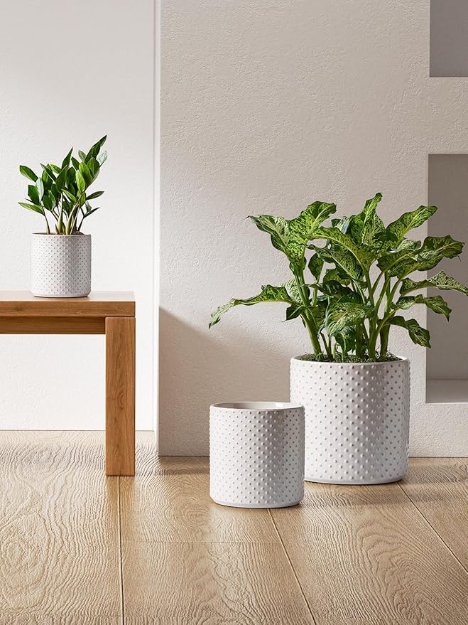 LE TAUCI Ceramic Pots for Plants, 10/8/6 Inch Indoor Planters with Draiange Hole, Silicone Plug & Mesh Pad, Modern Rasied-Dots Pots for Home Office, Set of 3, Glossy, Arctic White