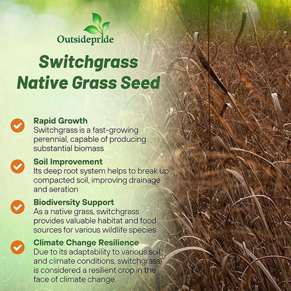 Outsidepride Switchgrass Seed - 25 lbs. Perennial Hardy, Drought & Flood Tolerant Native Grass Seed Ideal Fast-Growing Grasses for Erosion Control, Wildlife Forage & Food Plots, Thrives in Poor Soil
