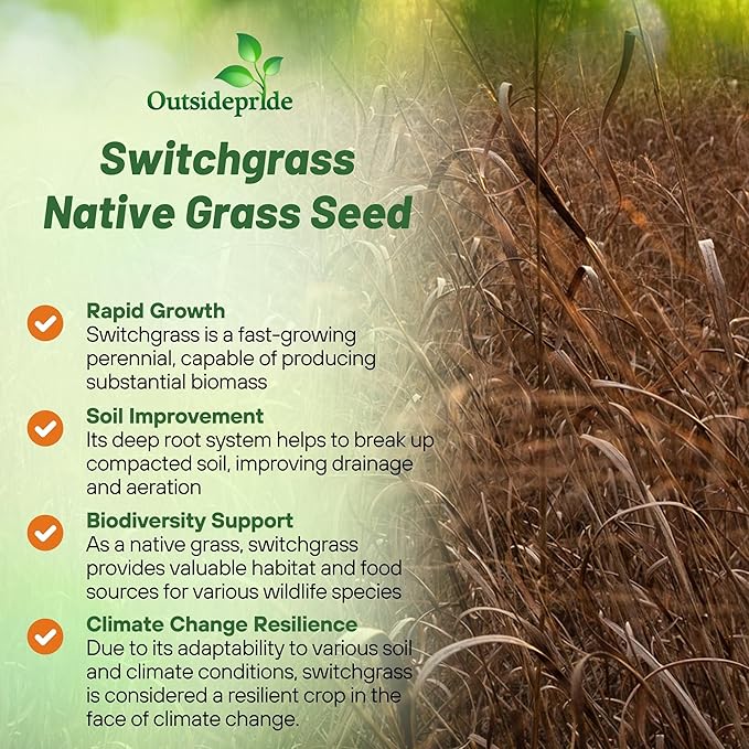 Outsidepride Switchgrass Seed - 5 lbs. Perennial Hardy, Drought & Flood Tolerant Native Grass Seed Ideal Fast-Growing Grasses for Erosion Control, Wildlife Forage & Food Plots, Thrives in Poor Soil