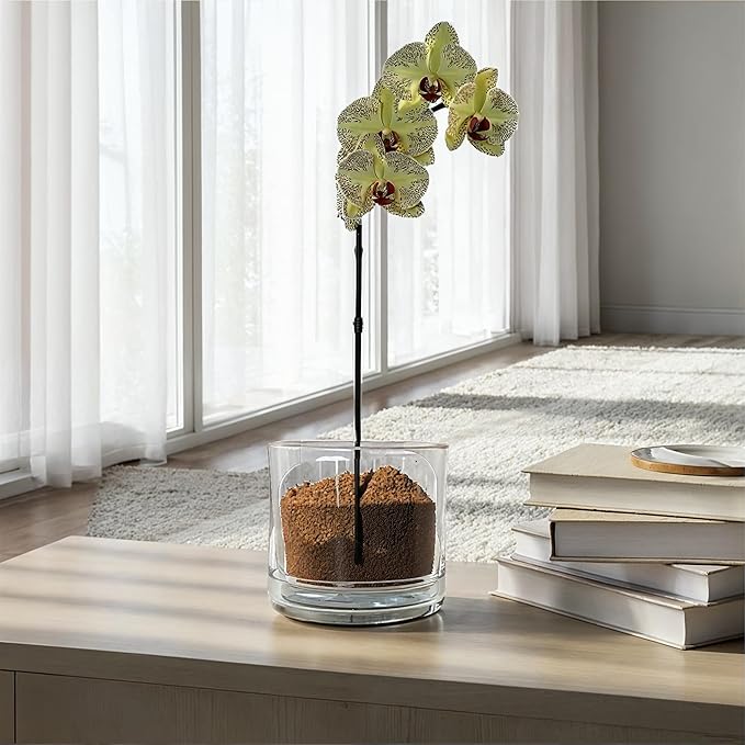Creative Co-Op Large Hand-Blown Glass Planter with Drainage Hole and Saucer, Clear