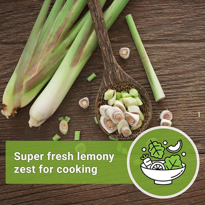 Sow Right Seeds - Lemon Grass Seed for Planting - Non-GMO Heirloom Packet with Instructions for Easy Planting and Growing an Herb Garden - Indoor or Outdoors - Delicious Culinary Herb (3)