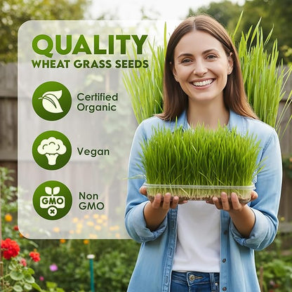 Nature Jims Sprouts Wheat Grass Seeds – Non-GMO Organic Seeds for Planting, Cat Grass Kit Planter & Sprouting –Resealable Bag for Fresh Wheatgrass Sprouts – Packed with Vitamins, Fiber & Minerals–16oz