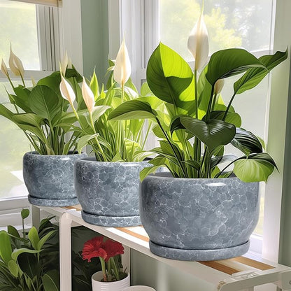 SQOWL 8 inch Plant pots Indoor - Ceramic Planter with Drainage Hole and Plant Saucer, Decorative Ceramic Flower Pot Outdoor, Modern Round Planter, Patio Porch Garden Decor, Garden Gifts, Gray