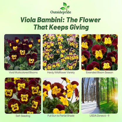 Outsidepride Bambini Mix Viola Pansy Seeds for Planting - 2000 Pcs. Perennial, Cold-Hardy & Pollinator Friendly Flowers with Fragrant Blooms for Garden Beds, Borders & Container Displays