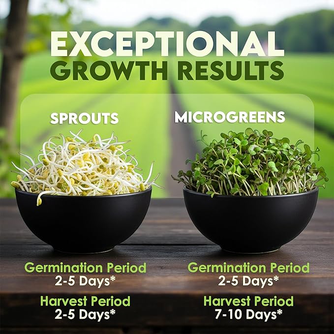 Nature Jims Sprouts Clover Seeds –Organic Non-GMO Sprouting Seeds for Fresh, Nutrient-Rich Seed, Packed with Vitamins, Minerals & Fiber, Ideal for Growing Sprouts and Clover Seed, Reseable Bag, 16 oz