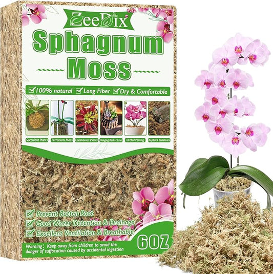ZeeDix 6 oz Sphagnum Moss for Plants Indoor, Long Fiber Natural Orchid Moss for Repotting Carnivorous Plants, Succulents, Monstera, Flower & Reptile Terrariums Habitats (Expands to 8 qt)