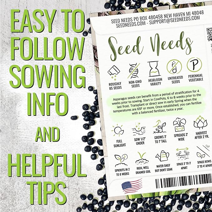 Seed Needs Asparagus Seeds for Planting Mary Washington Asparagus - Non-GMO Heirloom & Untreated Perennial Vegetable Seed to Plant an Outdoor Home Grown Garden (1 Pack)