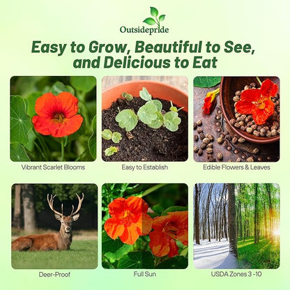 Outsidepride Double Gleam Scarlet Nasturtium Seeds - 400 pcs Annual, Dwarf, Edible, Trailing & Climbing Vine Flower Seeds for Deer Resistant Gardens, Container Plants & Hanging Baskets (AAS Winner)