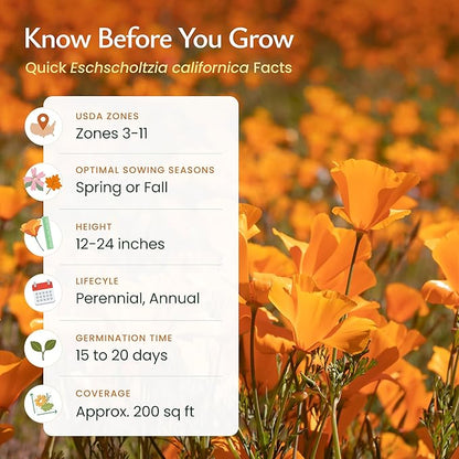 Created by Nature California Poppy Flower Seeds, 20,000 Native Wildflower Seeds, California State Flower