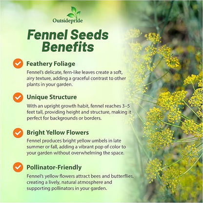 Outsidepride Florence Fennel Seeds - 1 lb. Annual, Pollinator Friendly & Easy to Grow, Herb Seeds for Planting Aromatic & Sweet Yellow Blooms for Versatile Uses & Culinary Creations
