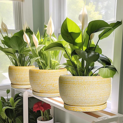 SQOWL Ceramic Flower Pots - 8 inch Plant Pot Indoor with Drainage Hole and Saucer, Modern Ceramic Planter Outdoor, Round Decorative Planter, Living Room Home Decor, Gifts for Plant Lovers, Yellow