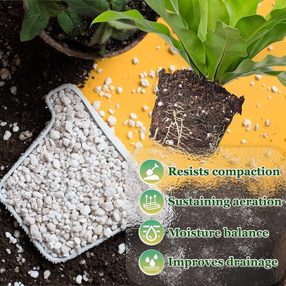 Organic Horticultural Perlite,Natural Perlite Improved Drainage, Ventilation & Root Growth,Perlite Conditioner Potting Mix for Orchids,Succulents,Indoor & Outdoor Plant and Gardening-2QT