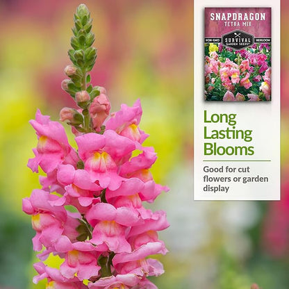 Survival Garden Seeds - Snapdragon Tetra Mix Seed for Planting - 3 Packs with Instructions to Plant and Grow Beautiful Colorful Flowers in Your Home Vegetable Garden - Non-GMO Heirloom Variety